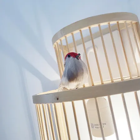 Aux Oiseaux - By La Boite En Chantilly