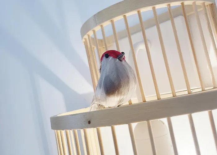 Aux Oiseaux - By La Boite En Chantilly